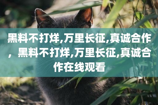 黑料不打烊,万里长征,真诚合作，黑料不打烊,万里长征,真诚合作在线观看