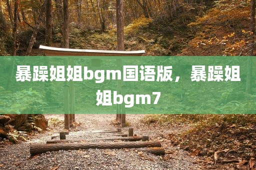 暴躁姐姐bgm国语版，暴躁姐姐bgm7