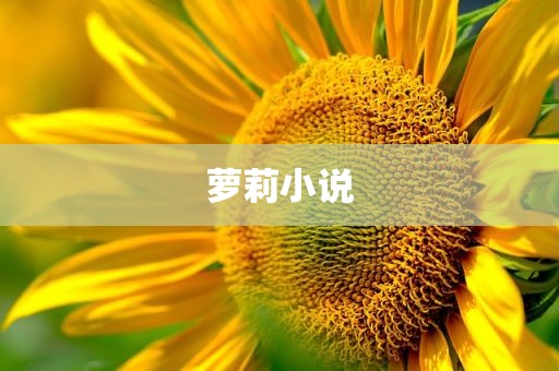 萝莉小说