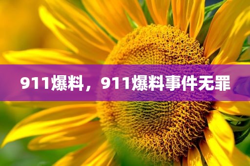 911爆料，911爆料事件无罪