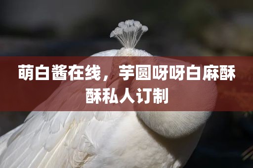 萌白酱在线，芋圆呀呀白麻酥酥私人订制