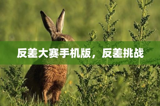 反差大赛手机版，反差挑战