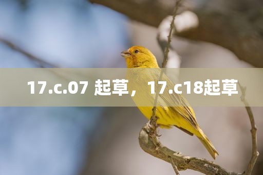 17.c.07 起草，17.c18起草