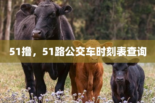 51撸，51路公交车时刻表查询