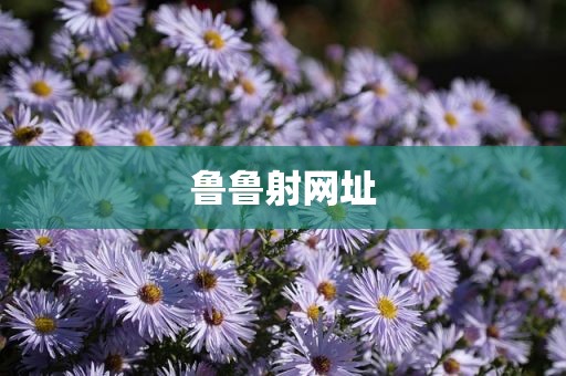 鲁鲁射网址