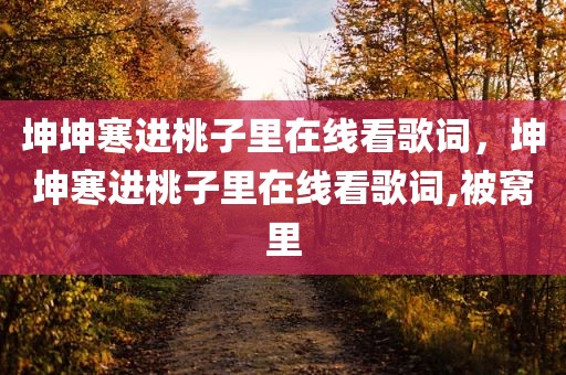 坤坤寒进桃子里在线看歌词，坤坤寒进桃子里在线看歌词,被窝里