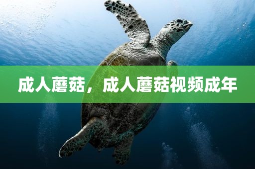 成人蘑菇，成人蘑菇视频成年