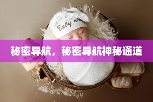 秘密导航，秘密导航神秘通道