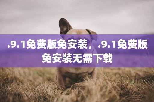 .9.1免费版免安装，.9.1免费版免安装无需下载