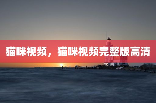 猫咪视频，猫咪视频完整版高清