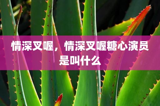 情深叉喔，情深叉喔糖心演员是叫什么