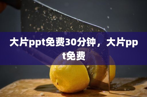 大片ppt免费30分钟，大片ppt免费