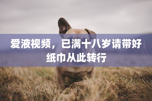 爱液视频，已满十八岁请带好纸巾从此转行