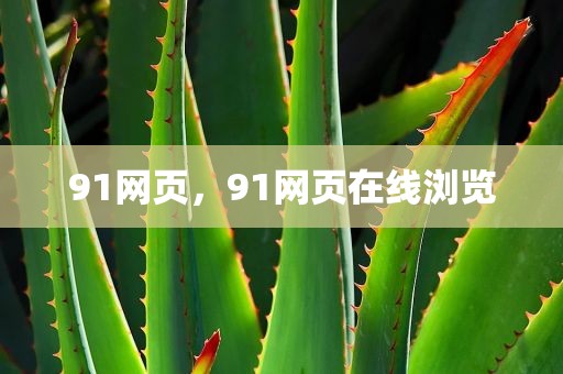 91网页，91网页在线浏览