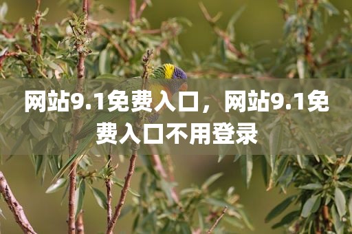 网站9.1免费入口，网站9.1免费入口不用登录