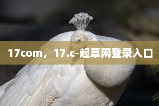 17com，17.c-起草网登录入口