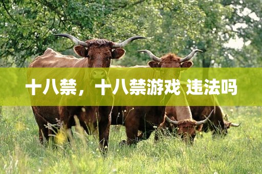 十八禁，十八禁游戏 违法吗
