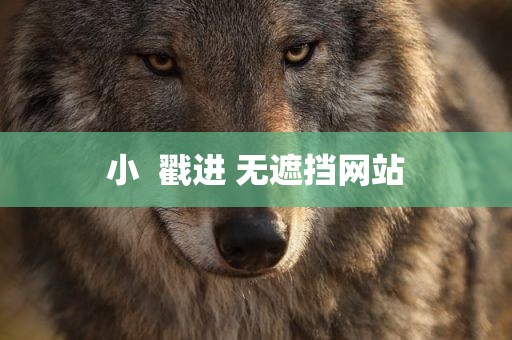 小  戳进 无遮挡网站