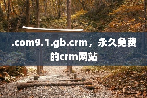 .com9.1.gb.crm，永久免费的crm网站