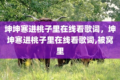坤坤寒进桃子里在线看歌词，坤坤寒进桃子里在线看歌词,被窝里