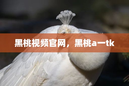 黑桃视频官网，黑桃a一tk