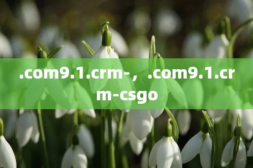 .com9.1.crm-，.com9.1.crm-csgo