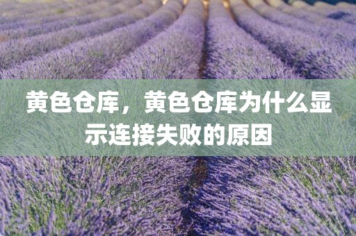 黄色仓库，黄色仓库为什么显示连接失败的原因