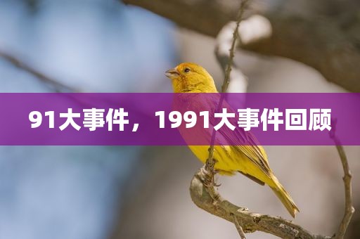 91大事件，1991大事件回顾