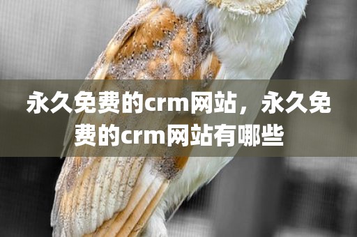 永久免费的crm网站，永久免费的crm网站有哪些