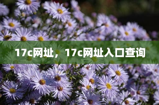 17c网址，17c网址入口查询