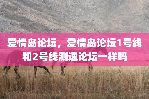 爱情岛论坛，爱情岛论坛1号线和2号线测速论坛一样吗
