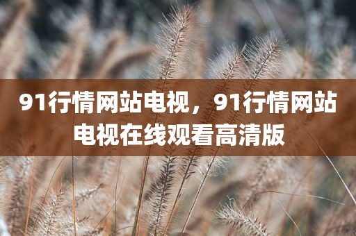 91行情网站电视，91行情网站电视在线观看高清版