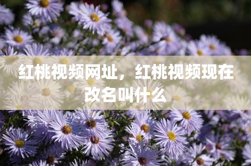 红桃视频网址，红桃视频现在改名叫什么