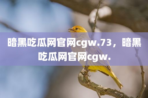 暗黑吃瓜网官网cgw.73，暗黑吃瓜网官网cgw.