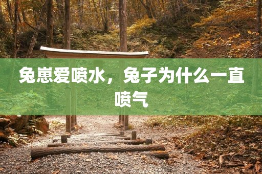 兔崽爱喷水，兔子为什么一直喷气