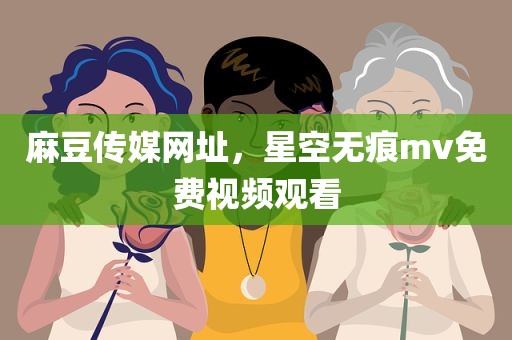 麻豆传媒网址，星空无痕mv免费视频观看
