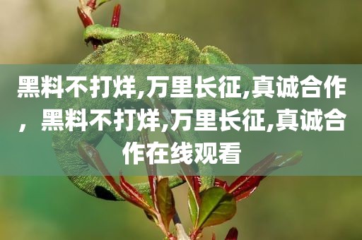 黑料不打烊,万里长征,真诚合作，黑料不打烊,万里长征,真诚合作在线观看