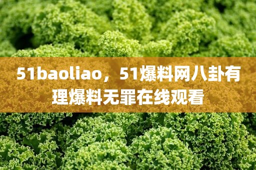 51baoliao，51爆料网八卦有理爆料无罪在线观看
