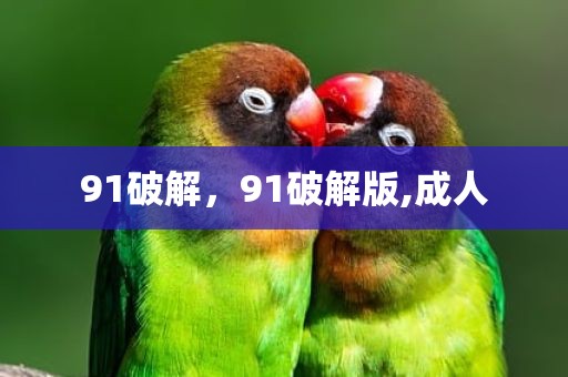 91破解，91破解版,成人