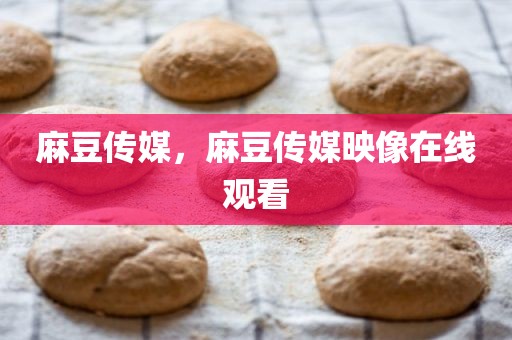 麻豆传媒，麻豆传媒映像在线观看