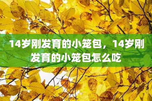 14岁刚发育的小笼包，14岁刚发育的小笼包怎么吃