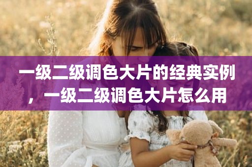 一级二级调色大片的经典实例，一级二级调色大片怎么用