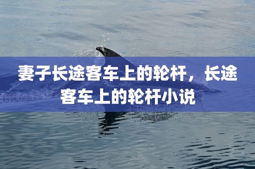 妻子长途客车上的轮杆，长途客车上的轮杆小说