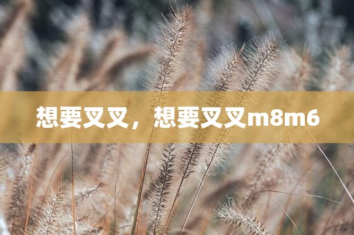 想要叉叉，想要叉叉m8m6