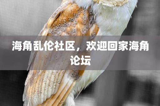 海角乱伦社区，欢迎回家海角论坛