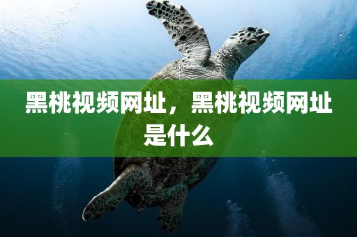 黑桃视频网址，黑桃视频网址是什么
