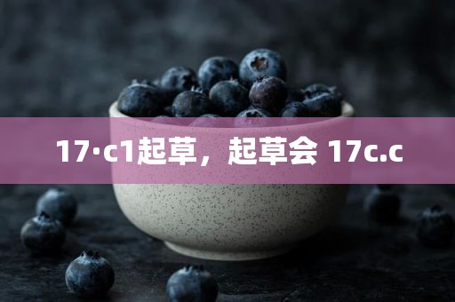 17·c1起草，起草会 17c.c