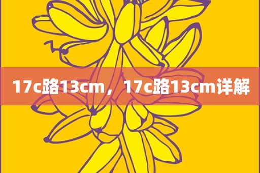 17c路13cm，17c路13cm详解