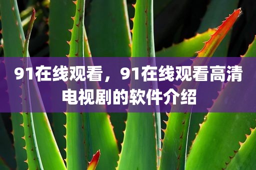 91在线观看，91在线观看高清电视剧的软件介绍