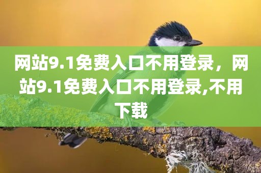 网站9.1免费入口不用登录，网站9.1免费入口不用登录,不用下载
